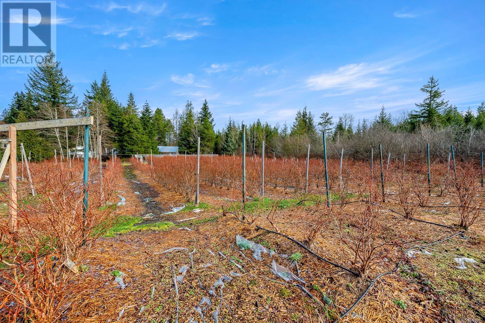 2156 Coleman Rd, Courtenay, British Columbia  V9J 1P2 - Photo 80 - 989962