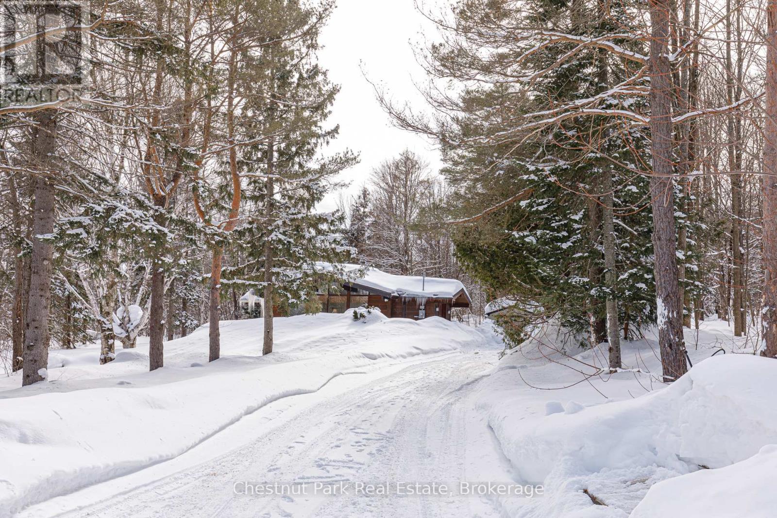 116 Castleview Road, Blue Mountains, Ontario  L9Y 0R6 - Photo 8 - X12002652