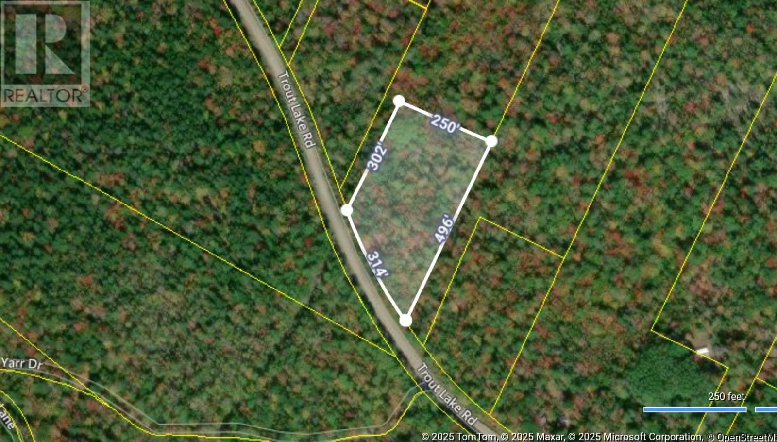13 Trout Lake Road, New Albany, Nova Scotia  B0S 1P0 - Photo 10 - 202504198