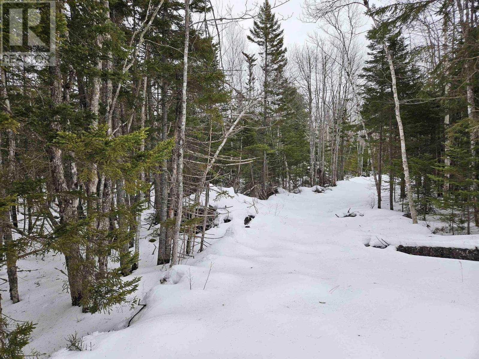 13 Trout Lake Road, New Albany, Nova Scotia  B0S 1P0 - Photo 6 - 202504198