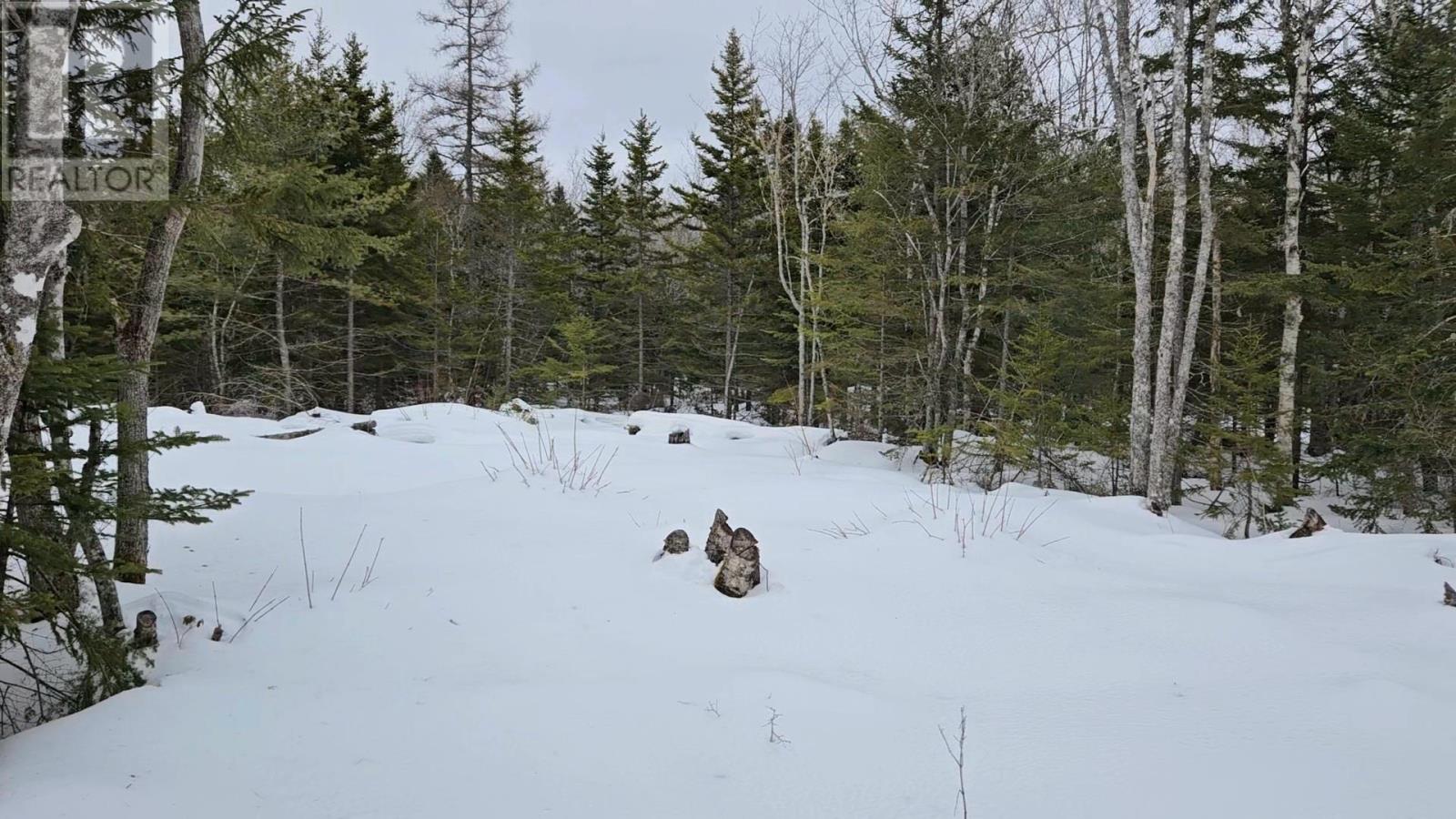 13 Trout Lake Road, New Albany, Nova Scotia  B0S 1P0 - Photo 7 - 202504198