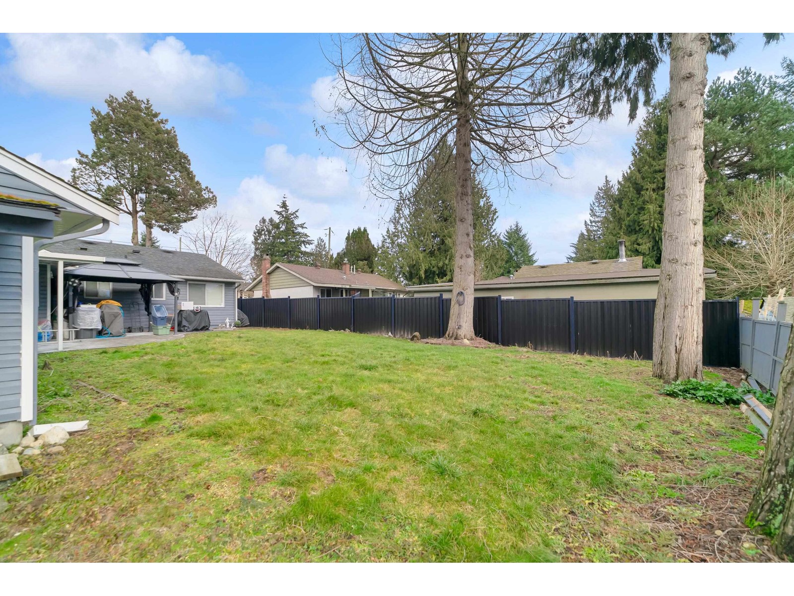 10053 Mary Drive, Surrey, British Columbia  V3V 3B6 - Photo 13 - R2973046