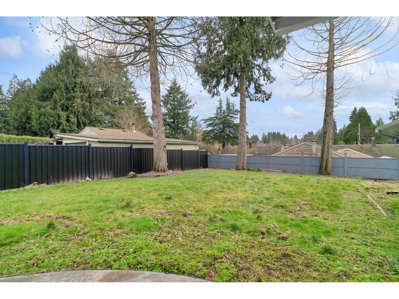 10053 Mary Drive, Surrey, British Columbia  V3V 3B6 - Photo 15 - R2973046