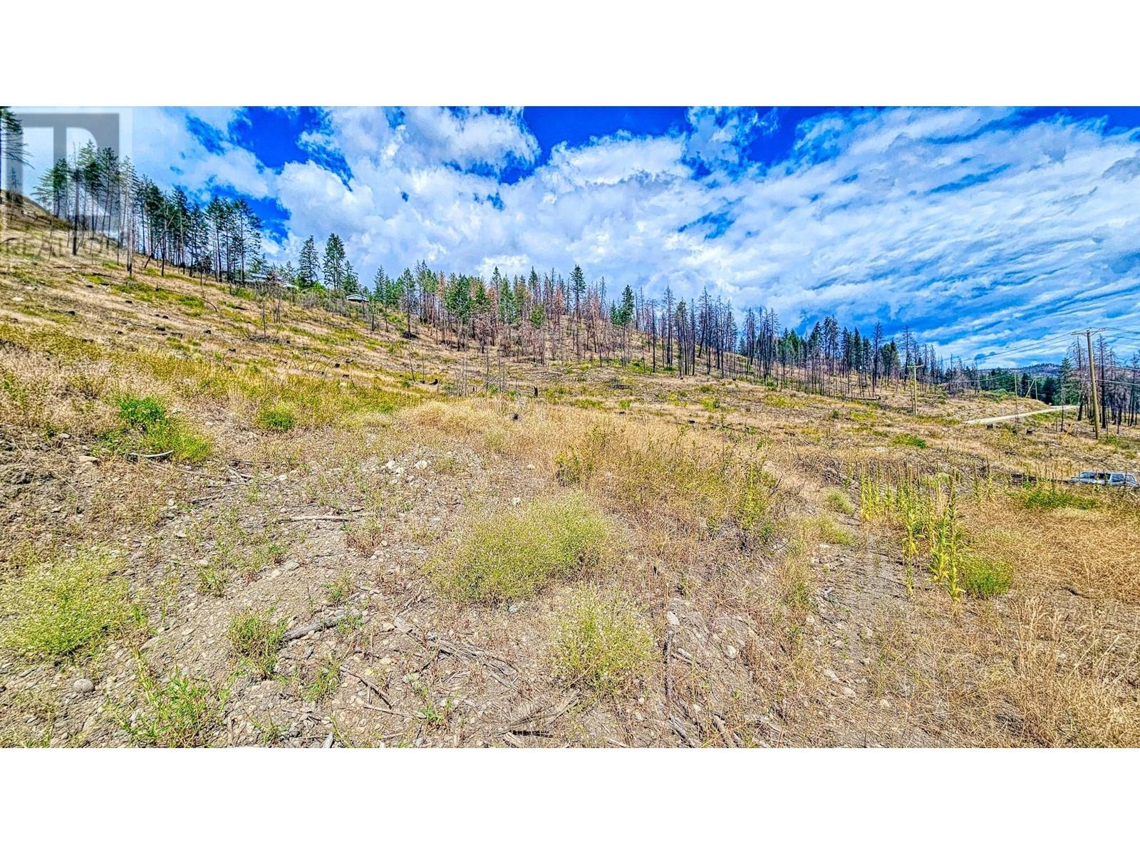 9200 Westside Road Lot# 2, Vernon, British Columbia  V1H 2E9 - Photo 11 - 10335407