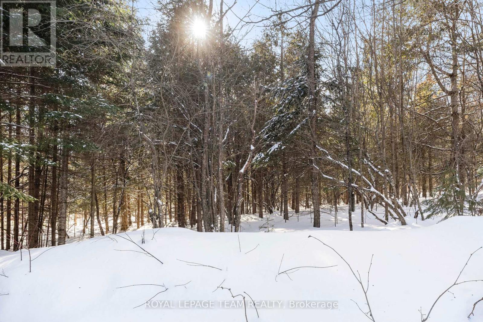 105 Heins Road, Lyndoch And Raglan, Ontario  K0J 2E0 - Photo 36 - X12003392