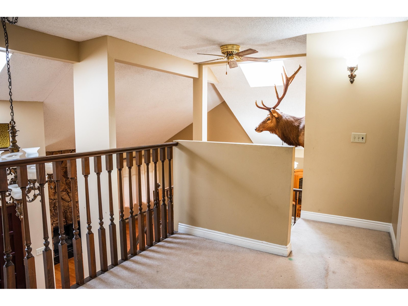 9213 133rd Street, Surrey, British Columbia  V3V 7E3 - Photo 33 - R2971995