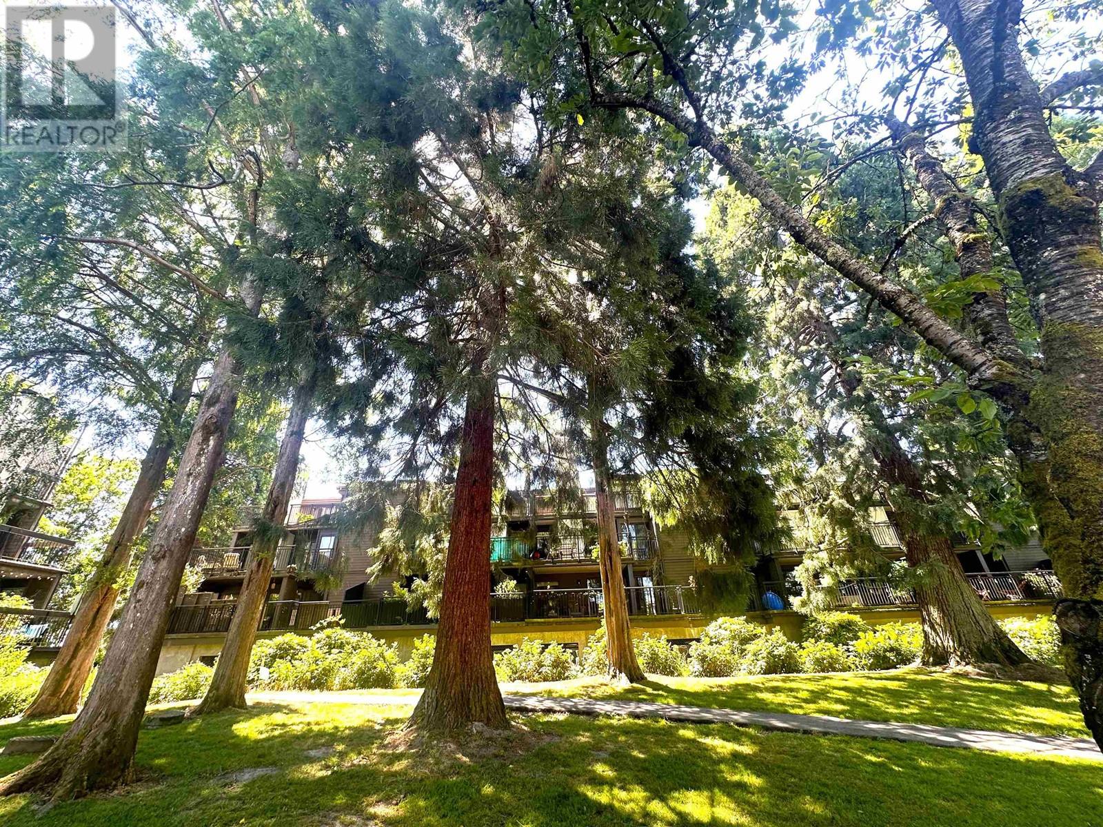 304 7851 No. 1 Road, Richmond, British Columbia  V7C 1T7 - Photo 27 - R2974105