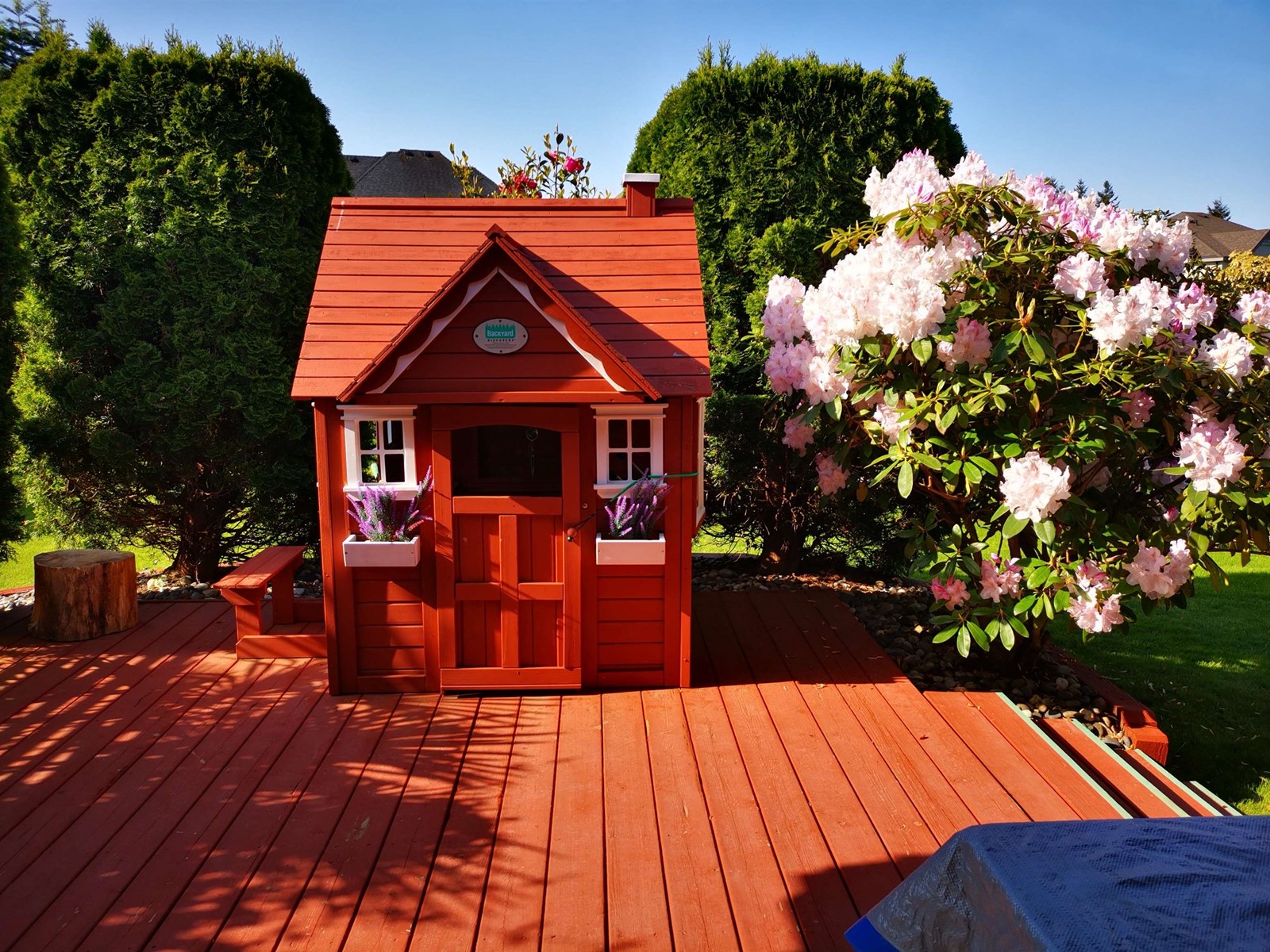 16434 Glenside Place, Surrey, British Columbia  V4N 1V6 - Photo 30 - R2955471