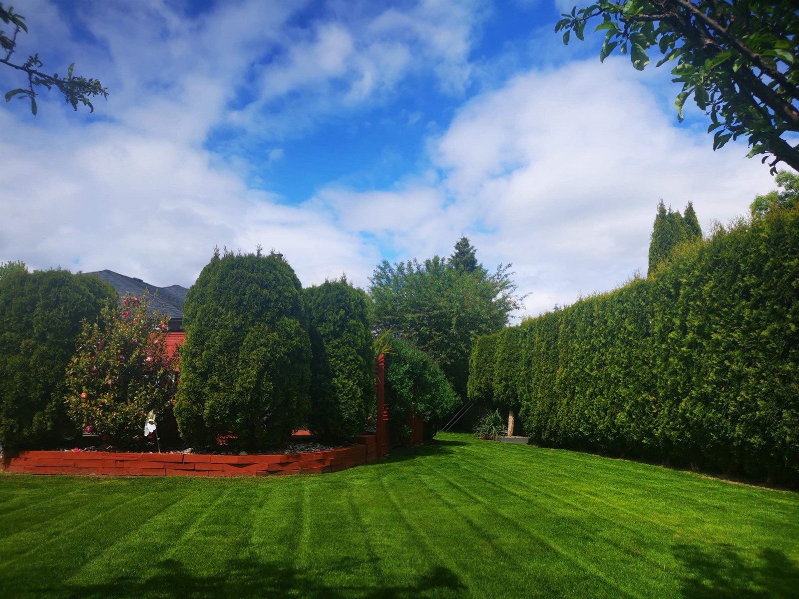 16434 Glenside Place, Surrey, British Columbia  V4N 1V6 - Photo 33 - R2955471