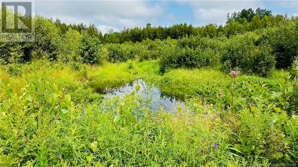 245 Hunter Road, Oakland, New Brunswick  E7L 3X8 - Photo 49 - NB113450