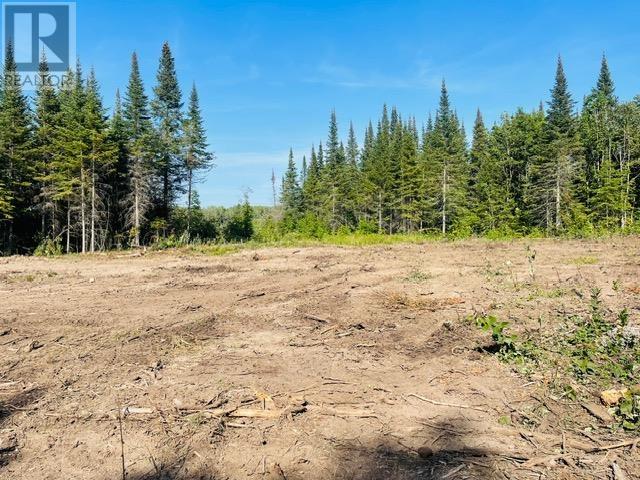 126 Haquoil Rd, Thunder Bay, Ontario  P7C 4V2 - Photo 10 - TB243536