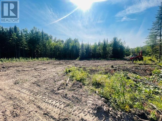126 Haquoil Rd, Thunder Bay, Ontario  P7C 4V2 - Photo 7 - TB243536
