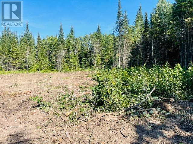 126 Haquoil Rd, Thunder Bay, Ontario  P7C 4V2 - Photo 9 - TB243536