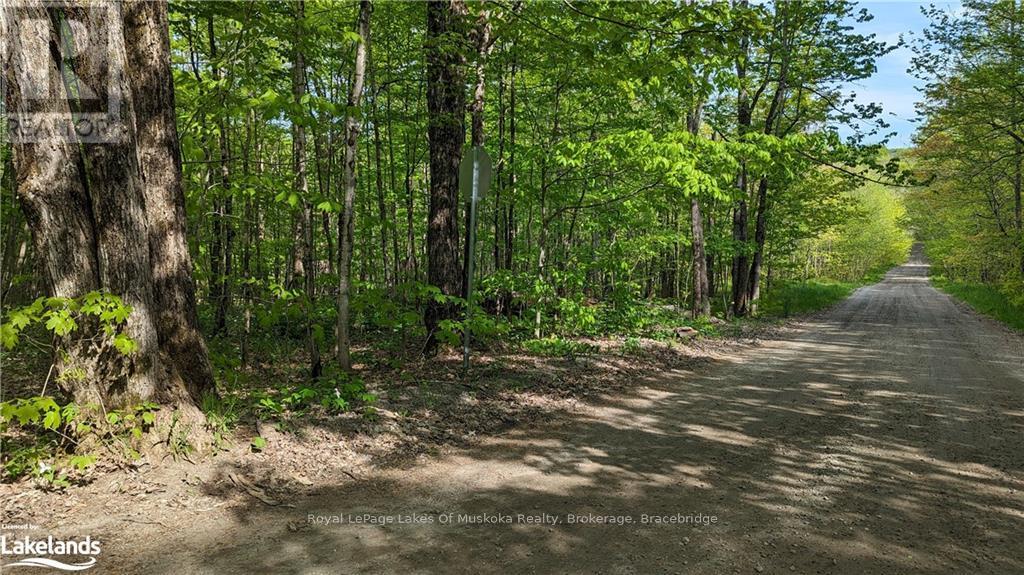 1 Northshore Road, Muskoka Lakes, Ontario  P0B 1M0 - Photo 16 - X10437271