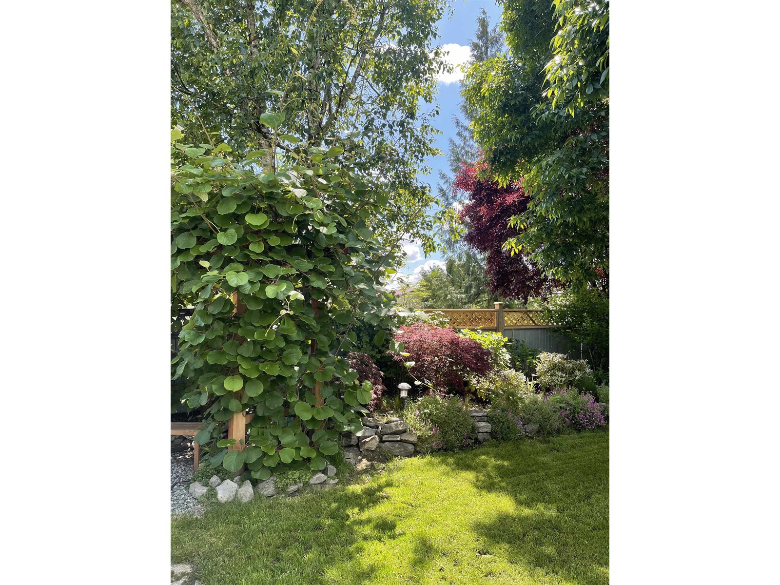 27080 27 Avenue, Langley, British Columbia  V4W 3E7 - Photo 40 - R2970401