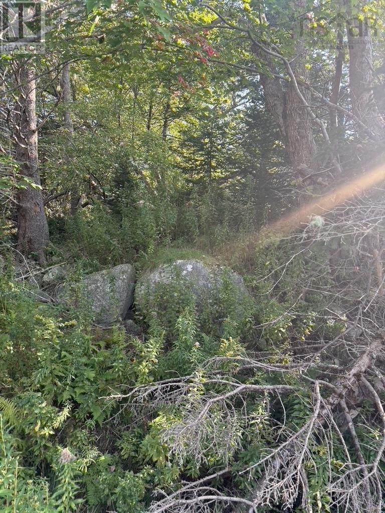 East Petpeswick Road, East Petpeswick, Nova Scotia  B0J 2L0 - Photo 4 - 202504275