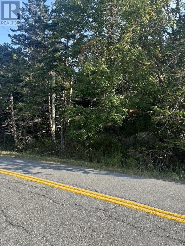 East Petpeswick Road, East Petpeswick, Nova Scotia  B0J 2L0 - Photo 8 - 202504275