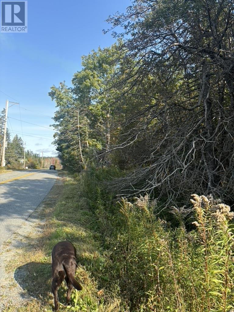 East Petpeswick Road, east petpeswick, Nova Scotia