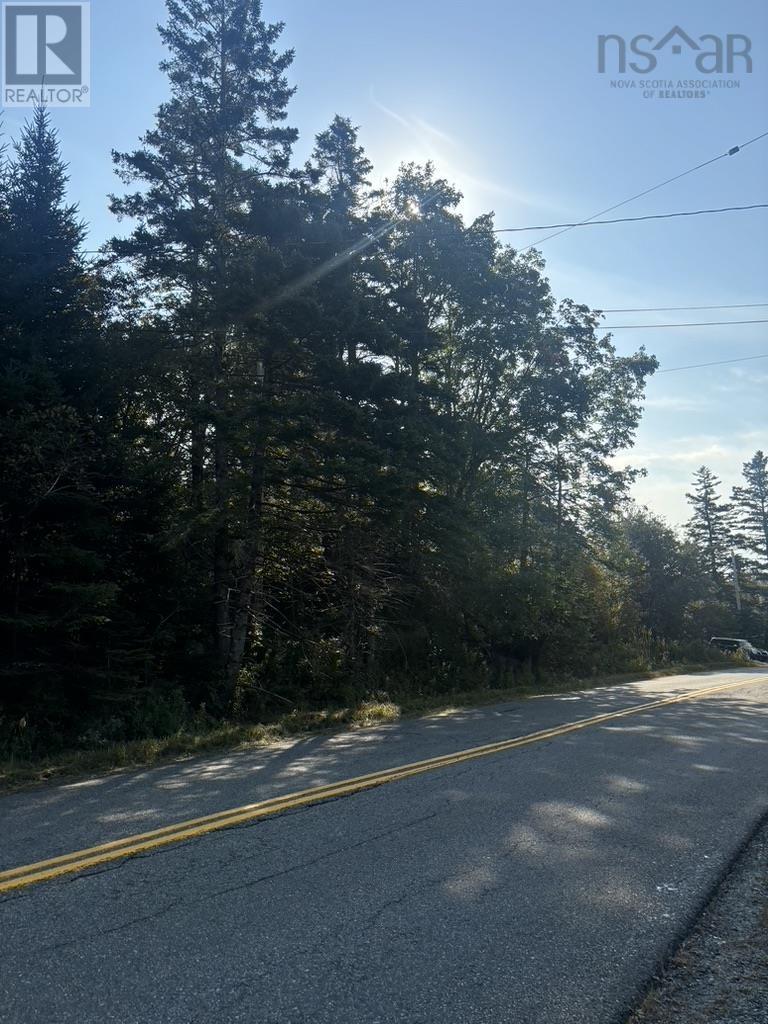 East Petpeswick Road, East Petpeswick, Nova Scotia  B0J 2L0 - Photo 6 - 202504276