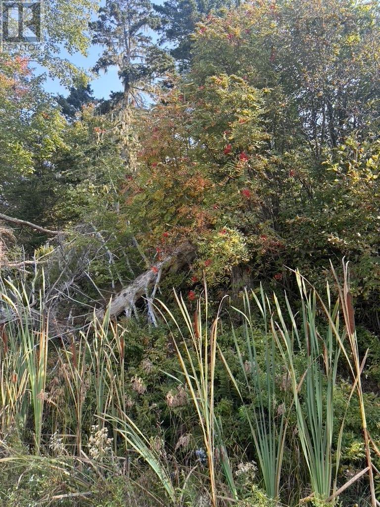 East Petpeswick Road, East Petpeswick, Nova Scotia  B0J 2L0 - Photo 9 - 202504276