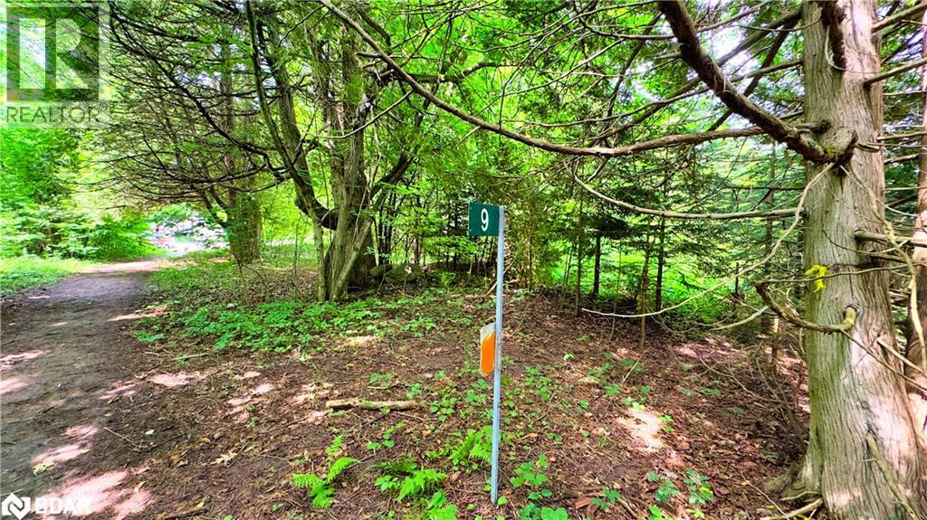 9 Beach Road, Oro-Medonte, Ontario  L3V 0R9 - Photo 10 - 40703935