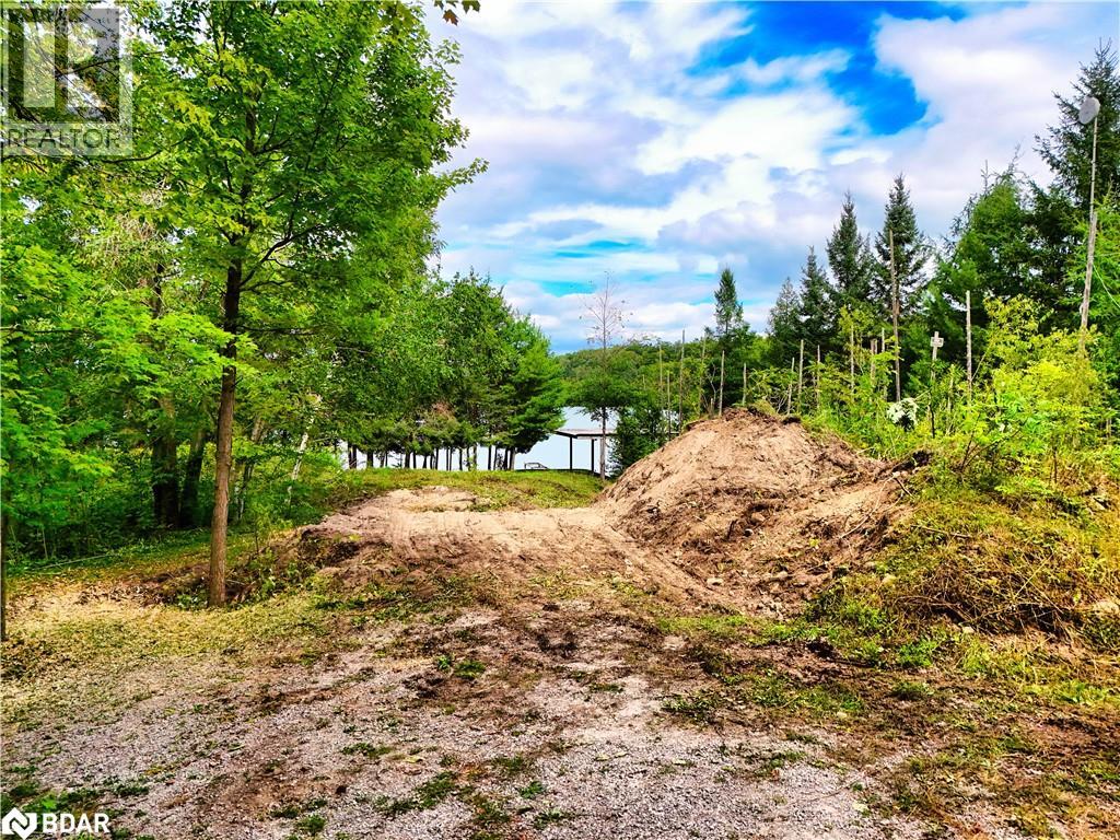 9 Beach Road, Oro-Medonte, Ontario  L3V 0R9 - Photo 8 - 40703935
