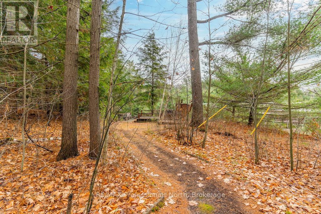 1012 Parasol Drive, Algonquin Highlands, Ontario  K0M 1J2 - Photo 35 - X11964908