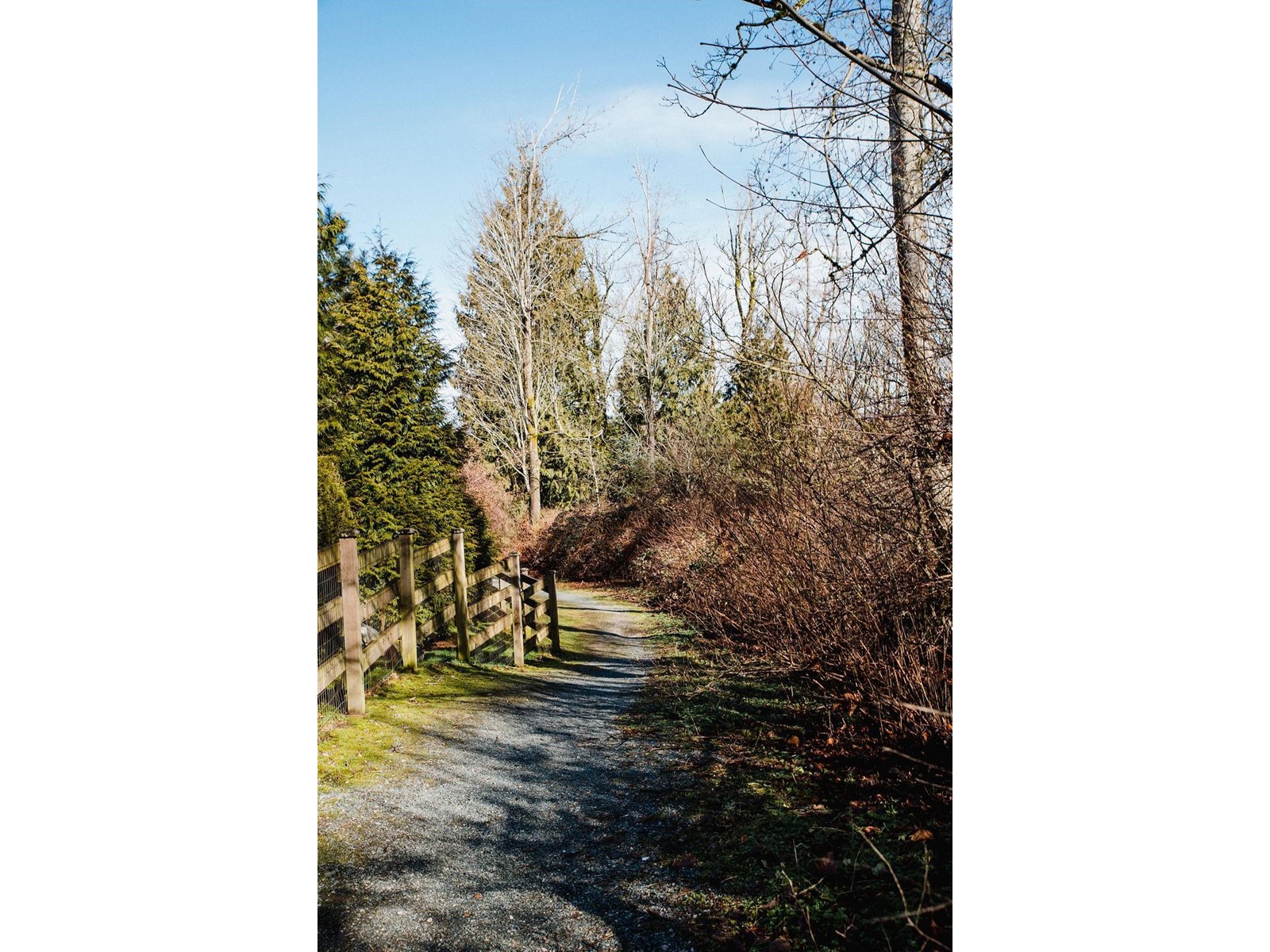 49 14433 60 Avenue, Surrey, British Columbia  V3S 1R4 - Photo 26 - R2974425
