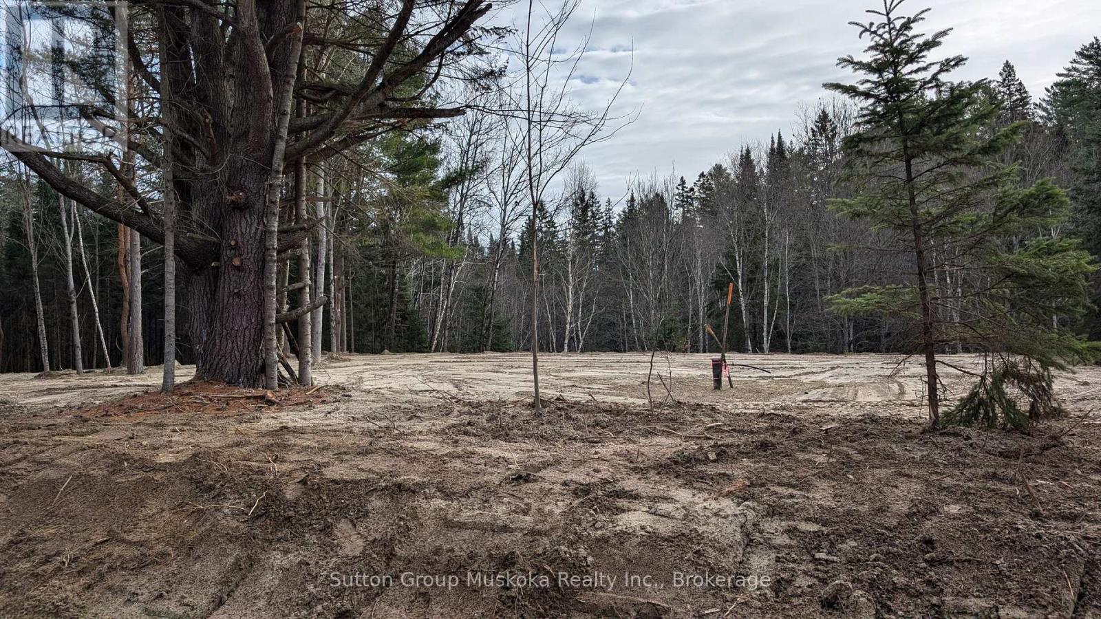 Lot 3 Red Pine Trail, Bracebridge, Ontario  P0B 1L0 - Photo 2 - X12004287