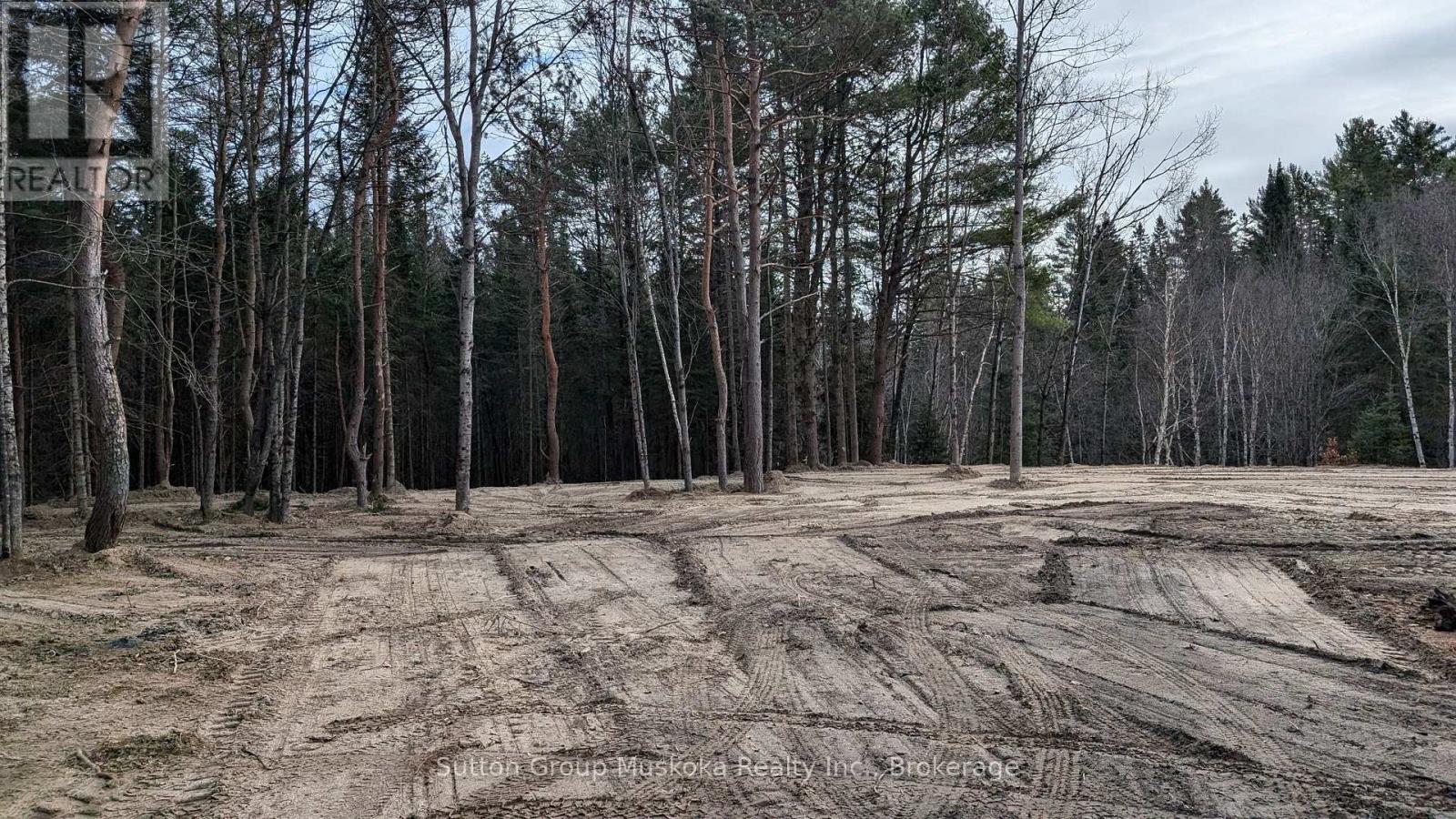 Lot 3 Red Pine Trail, Bracebridge, Ontario  P0B 1L0 - Photo 3 - X12004287