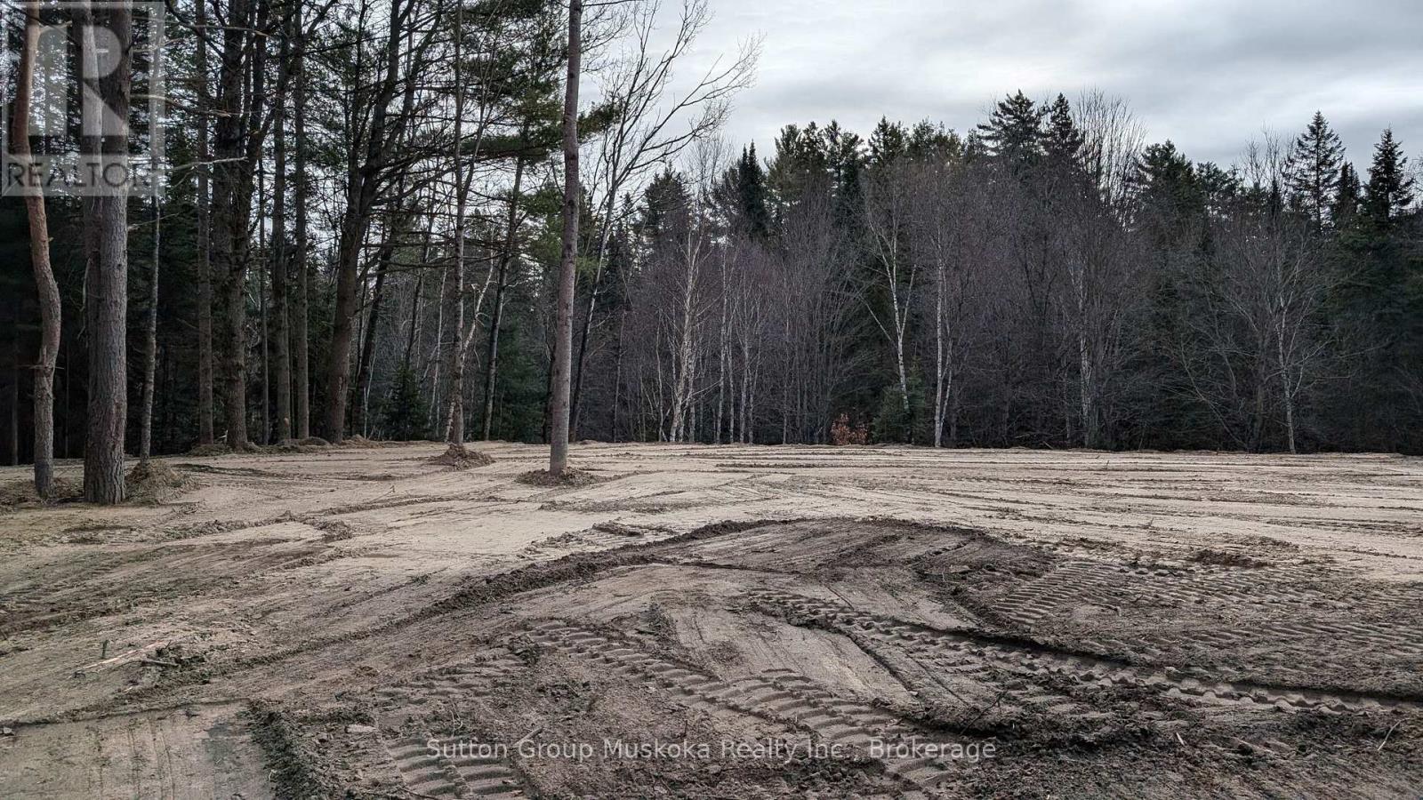 Lot 3 Red Pine Trail, Bracebridge, Ontario  P0B 1L0 - Photo 4 - X12004287