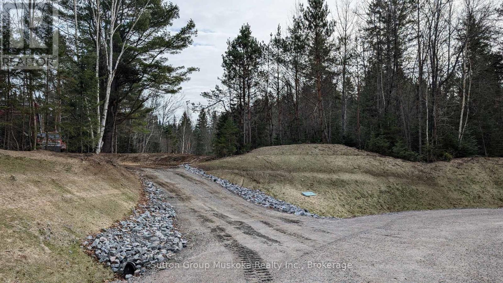 Lot 3 Red Pine Trail, Bracebridge, Ontario  P0B 1L0 - Photo 5 - X12004287
