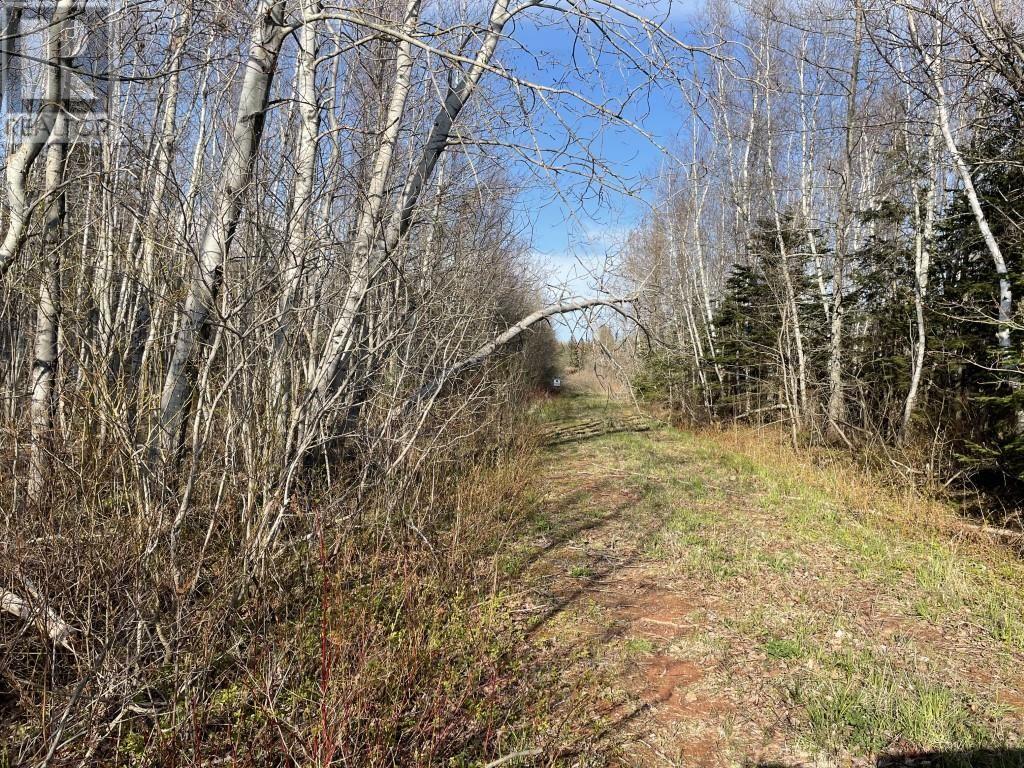 Lots 1,2,21,22 Wildwood Court, Cross Shores Estates, Wellington, Prince Edward Island  C0B 1Y0 - Photo 7 - 202104347
