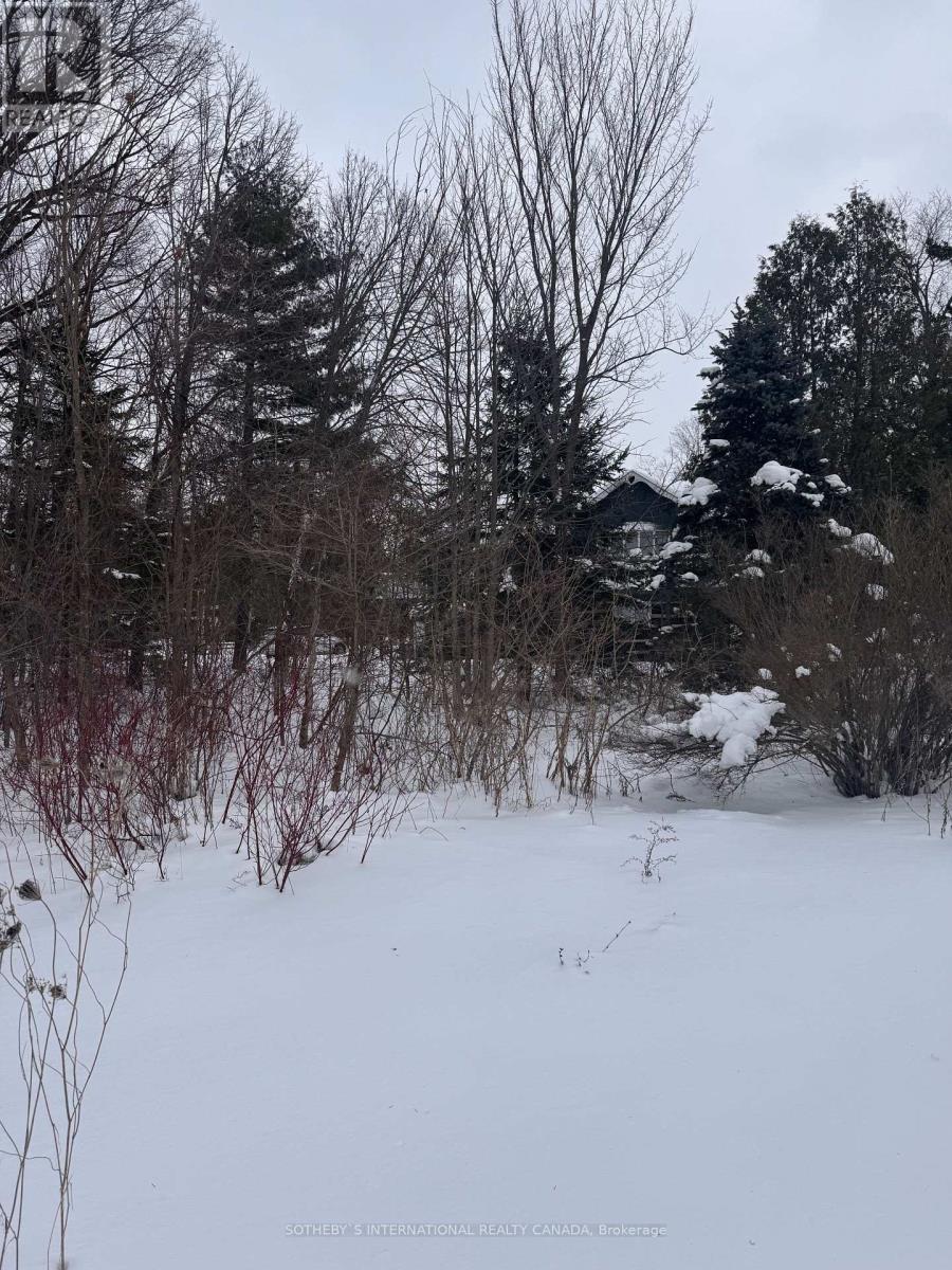 39 Pine River Crescent, Mulmur, Ontario  L0N 1M0 - Photo 1 - X12004452