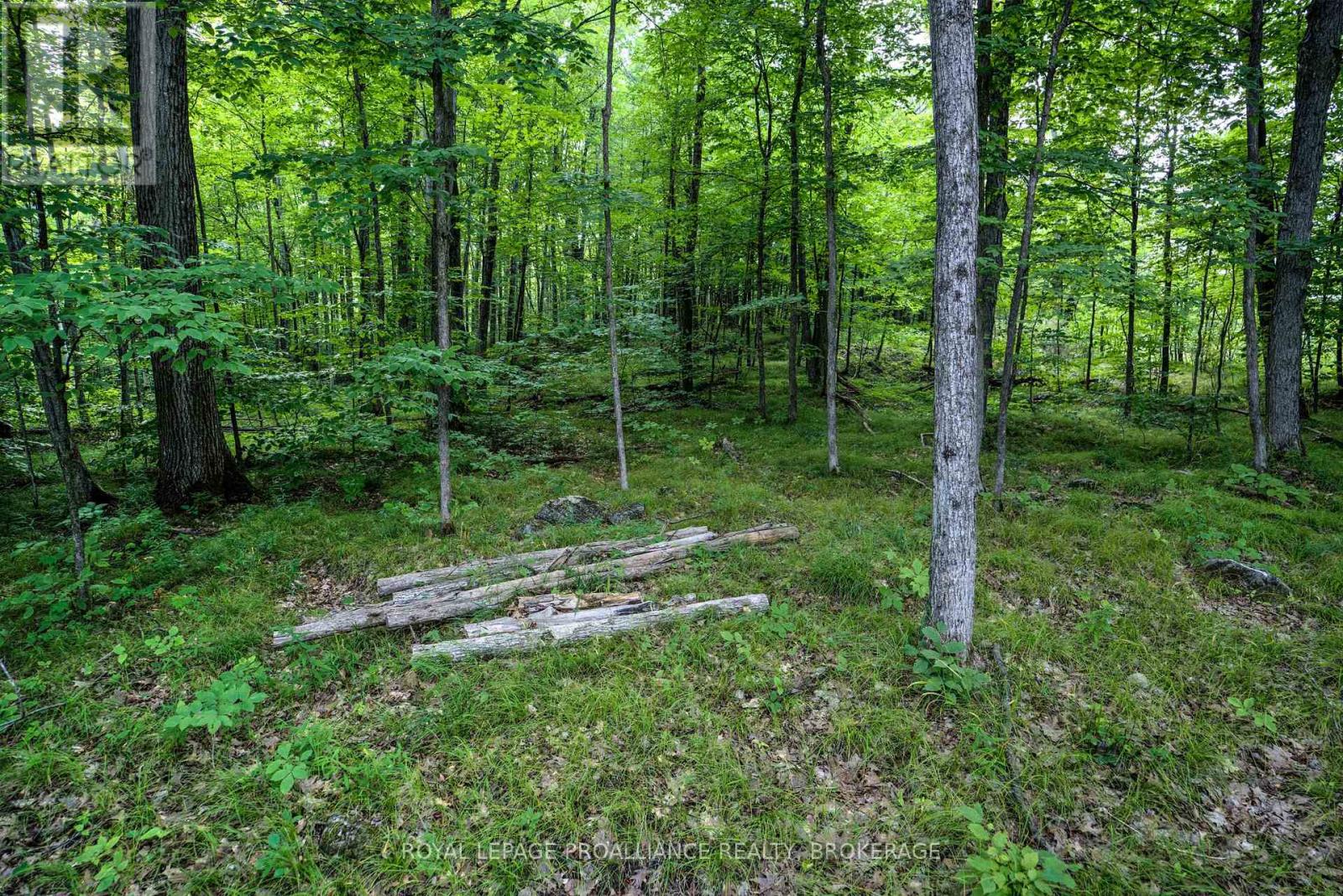 572 Oak Bluffs Road, Frontenac, Ontario  K0H 2B9 - Photo 21 - X9233490