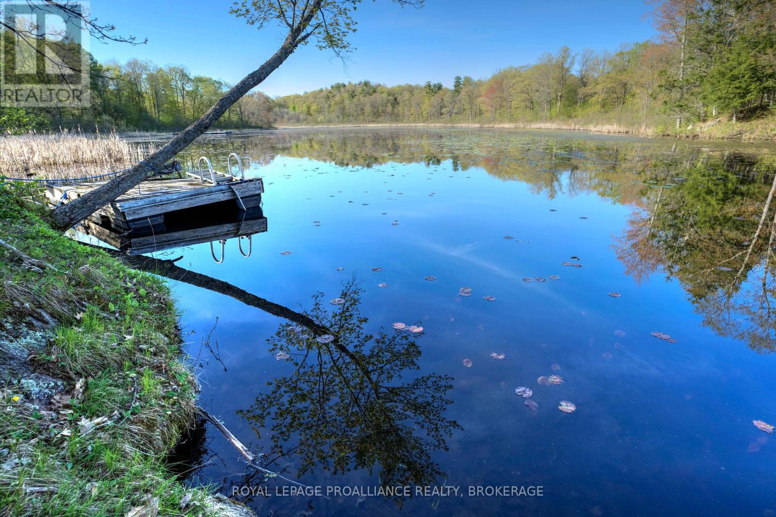 Pt Lt 2 Creek Crossing Lane, Rideau Lakes, Ontario  K0G 1X0 - Photo 12 - X9374859