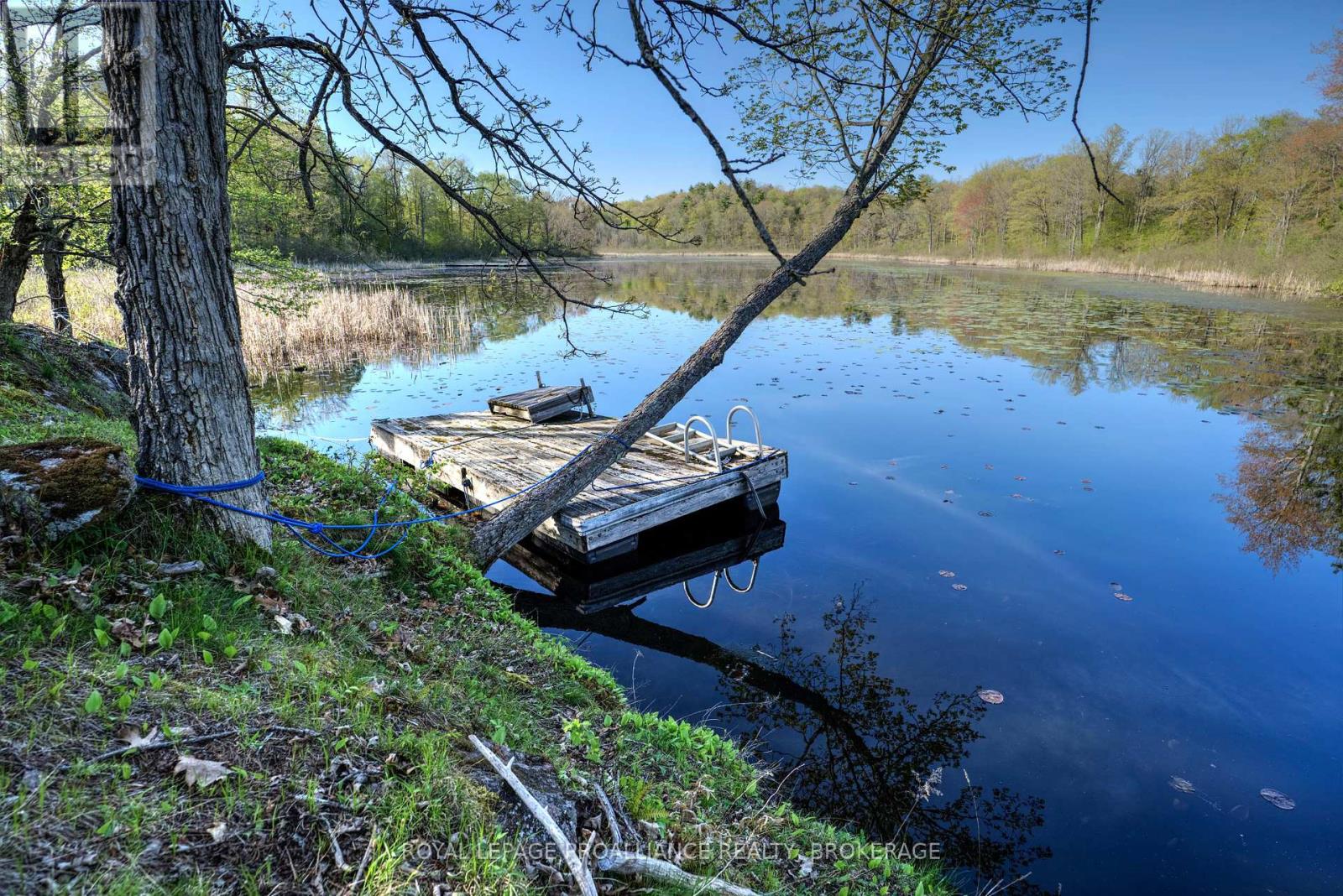 Pt Lt 2 Creek Crossing Lane, Rideau Lakes, Ontario  K0G 1X0 - Photo 14 - X9374859