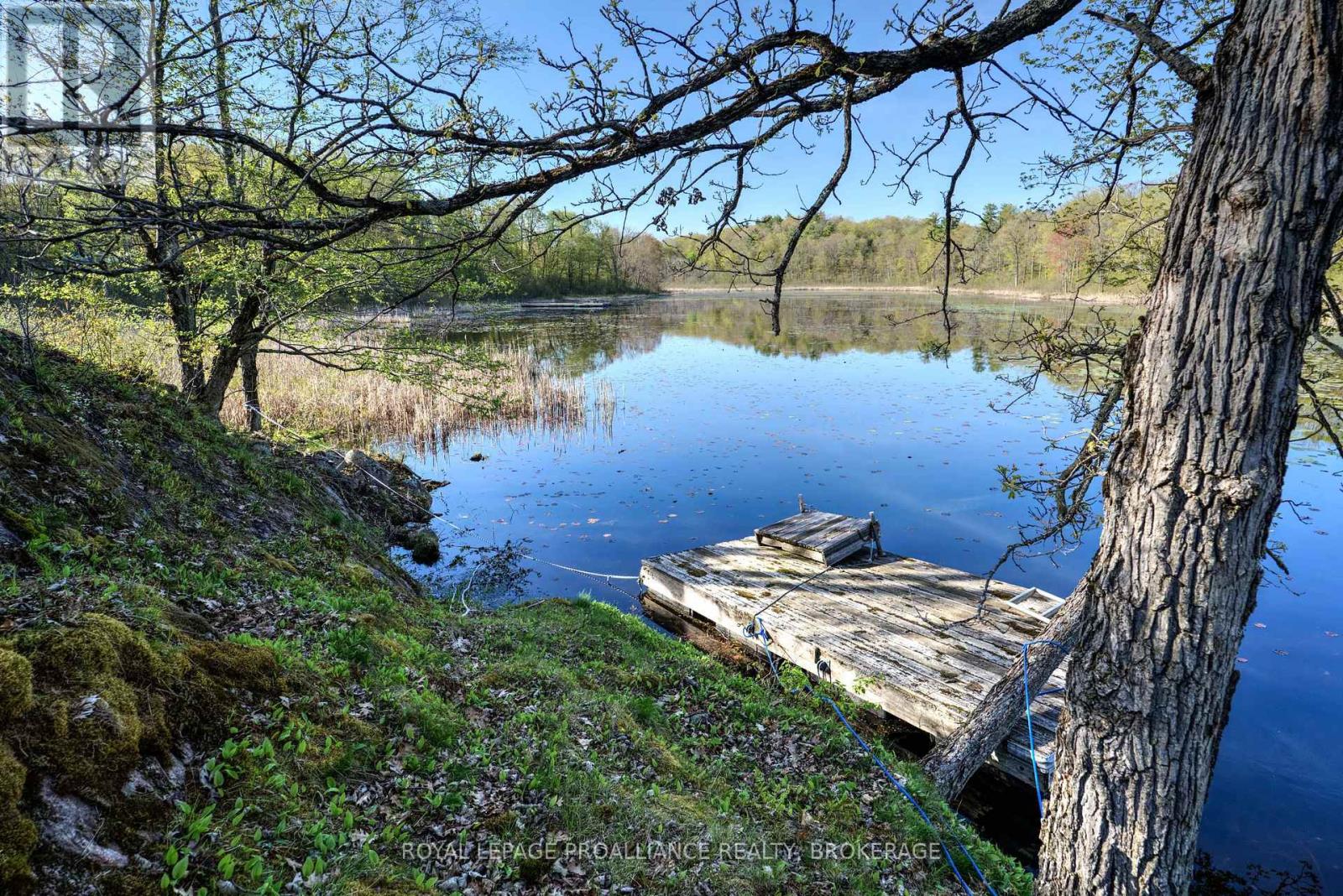 Pt Lt 2 Creek Crossing Lane, Rideau Lakes, Ontario  K0G 1X0 - Photo 17 - X9374859