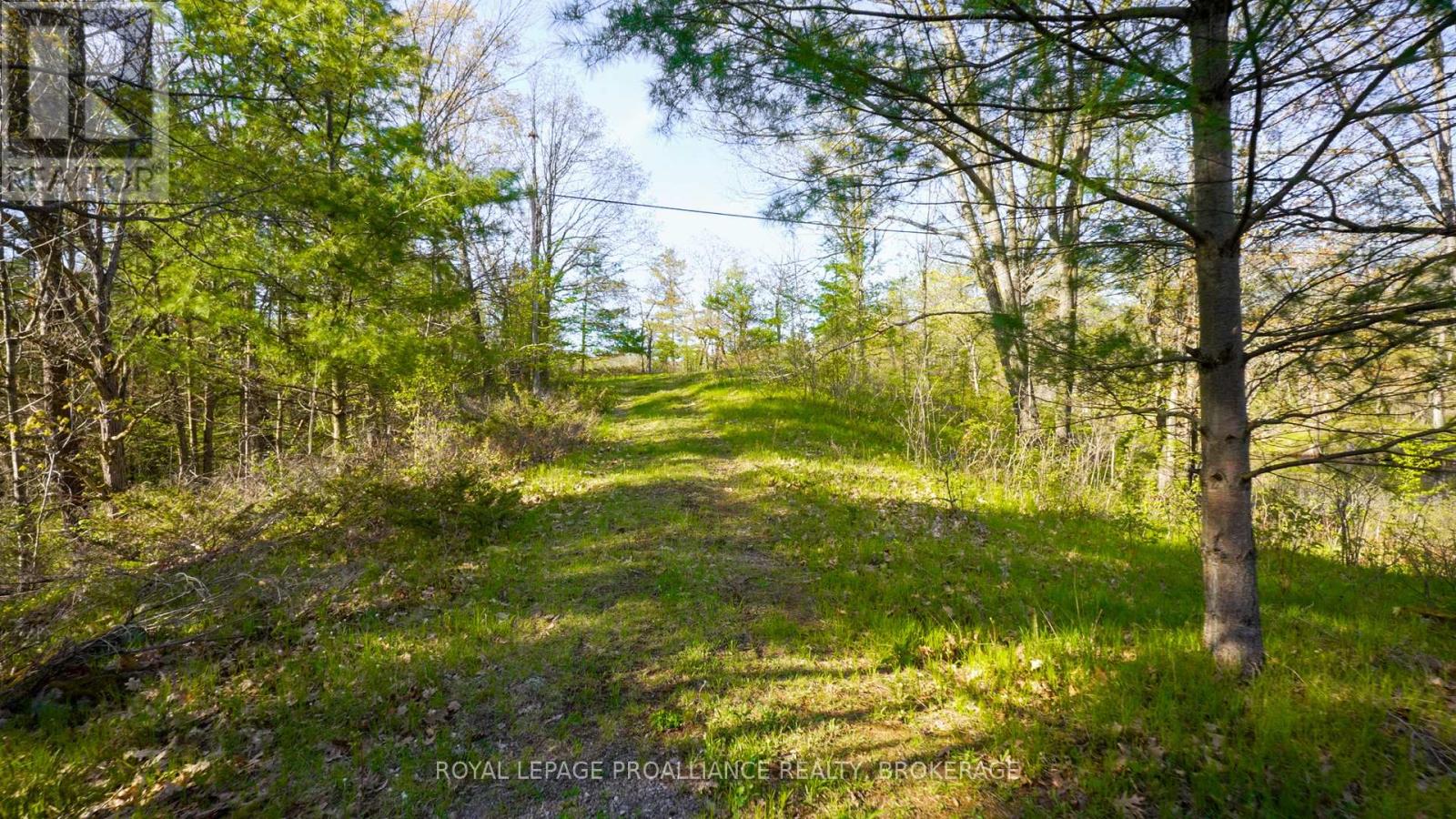 Pt Lt 2 Creek Crossing Lane, Rideau Lakes, Ontario  K0G 1X0 - Photo 2 - X9374859