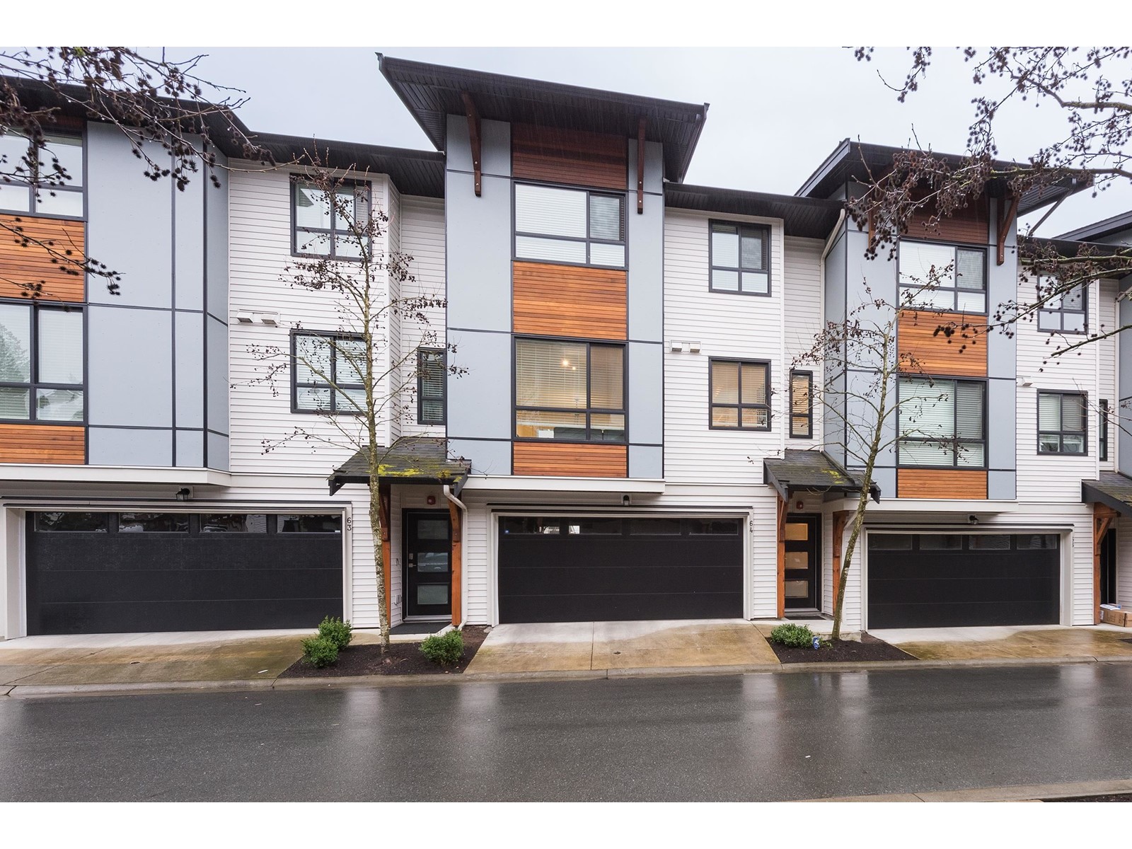 64 8508 204 Street, Langley, British Columbia  V2Y 0V8 - Photo 2 - R2974467