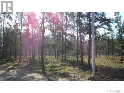 Rec Lot 5 Blk 2, Hudson Bay Rm No. 394, Saskatchewan  S0E 0Y0 - Photo 2 - SK998260