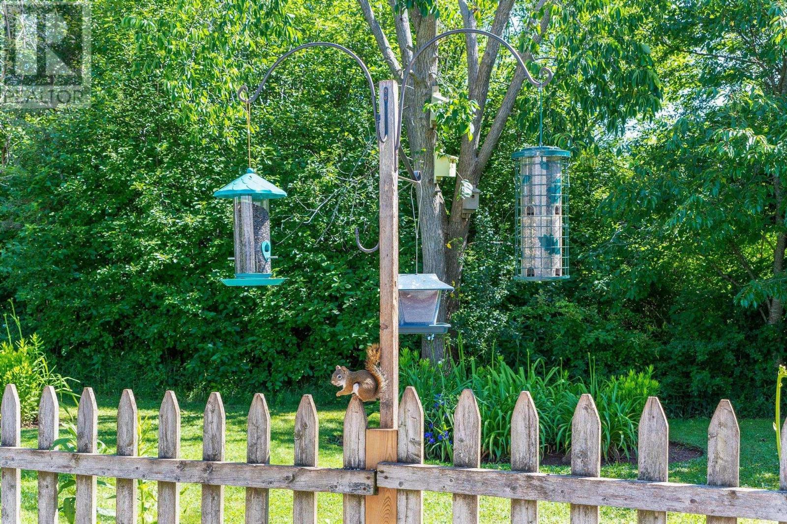 120 Jeffrey Street, Bridgetown, Nova Scotia  B0S 1C0 - Photo 46 - 202504300