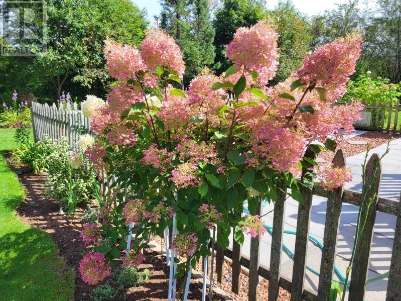 120 Jeffrey Street, Bridgetown, Nova Scotia  B0S 1C0 - Photo 48 - 202504300