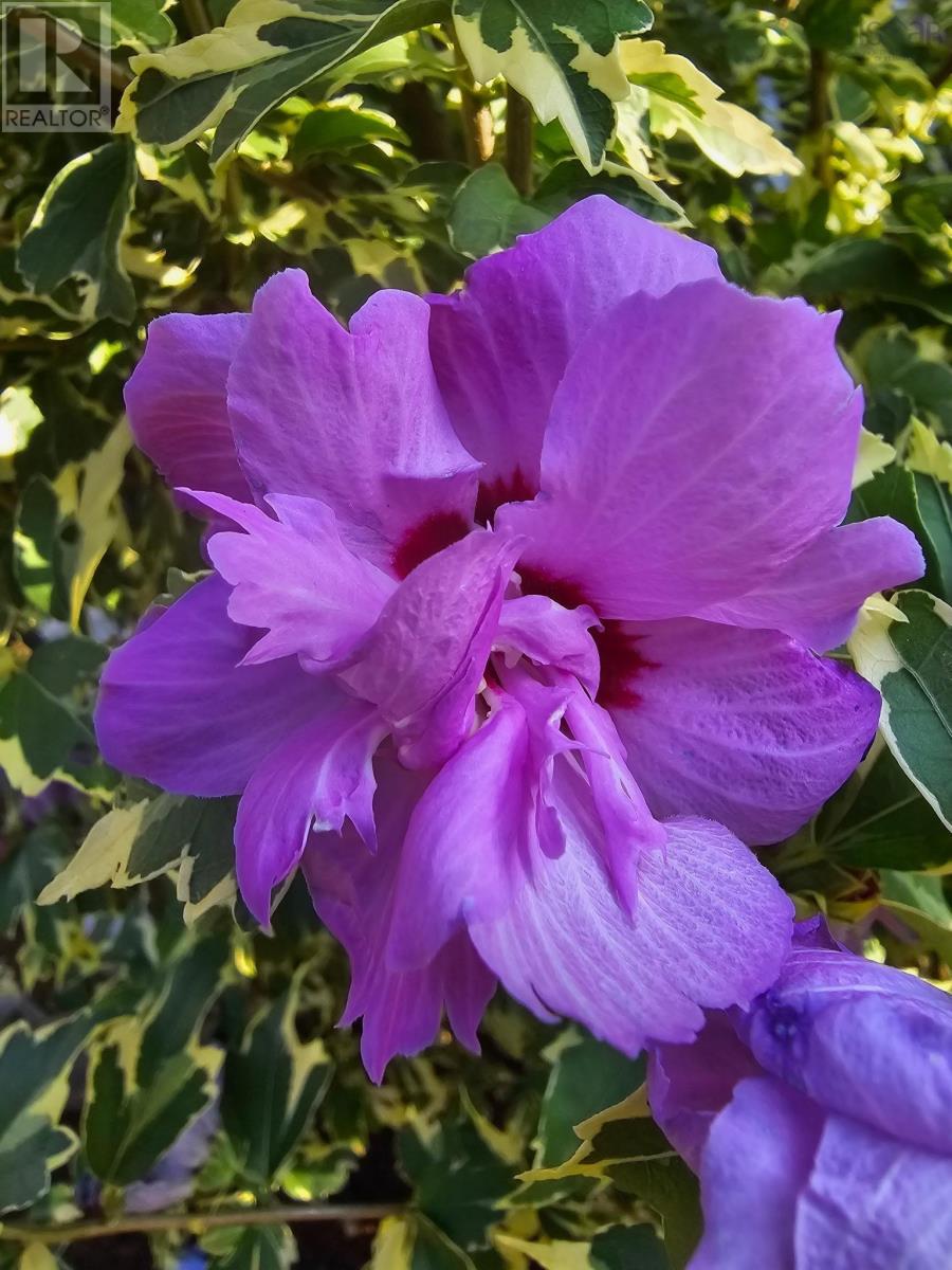 120 Jeffrey Street, Bridgetown, Nova Scotia  B0S 1C0 - Photo 49 - 202504300