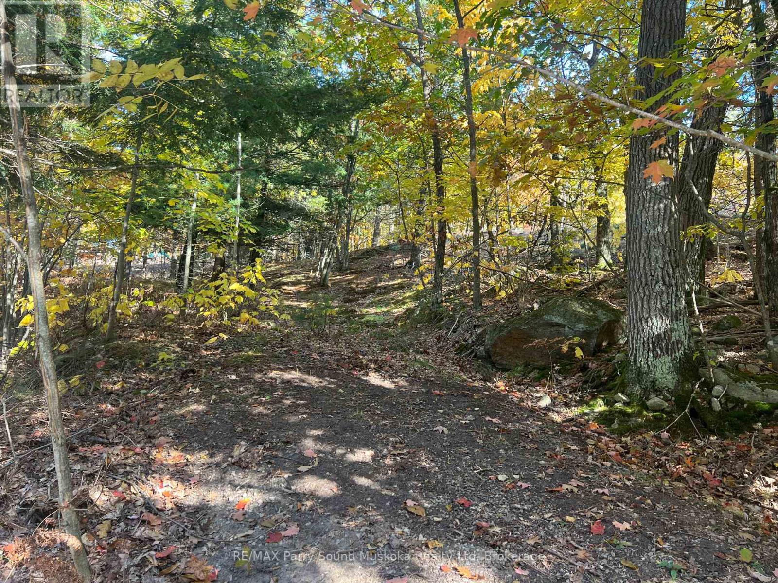 13 Ridgeway Drive, Carling, Ontario  P0G 1G0 - Photo 24 - X12004632