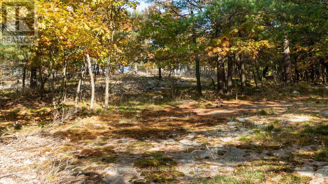 13 Ridgeway Drive, Carling, Ontario  P0G 1G0 - Photo 8 - X12004632