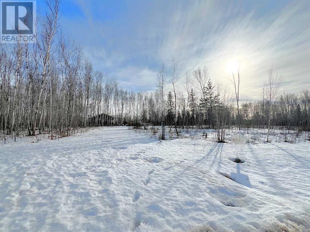 48, 654036 Range Road 222, Rural Athabasca County, Alberta  T9S 2A5 - Photo 2 - A2199141