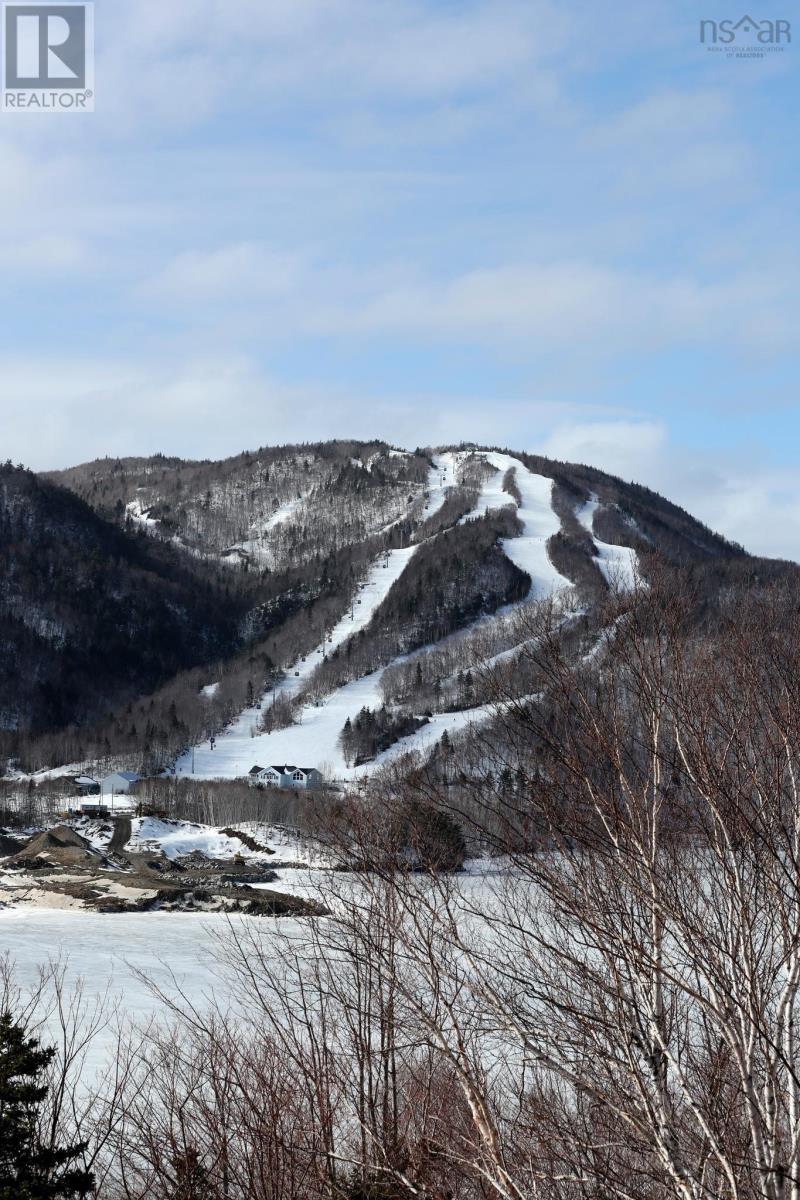Port Malcolm Road, Grantville, Nova Scotia  B0E 1J0 - Photo 11 - 202504315