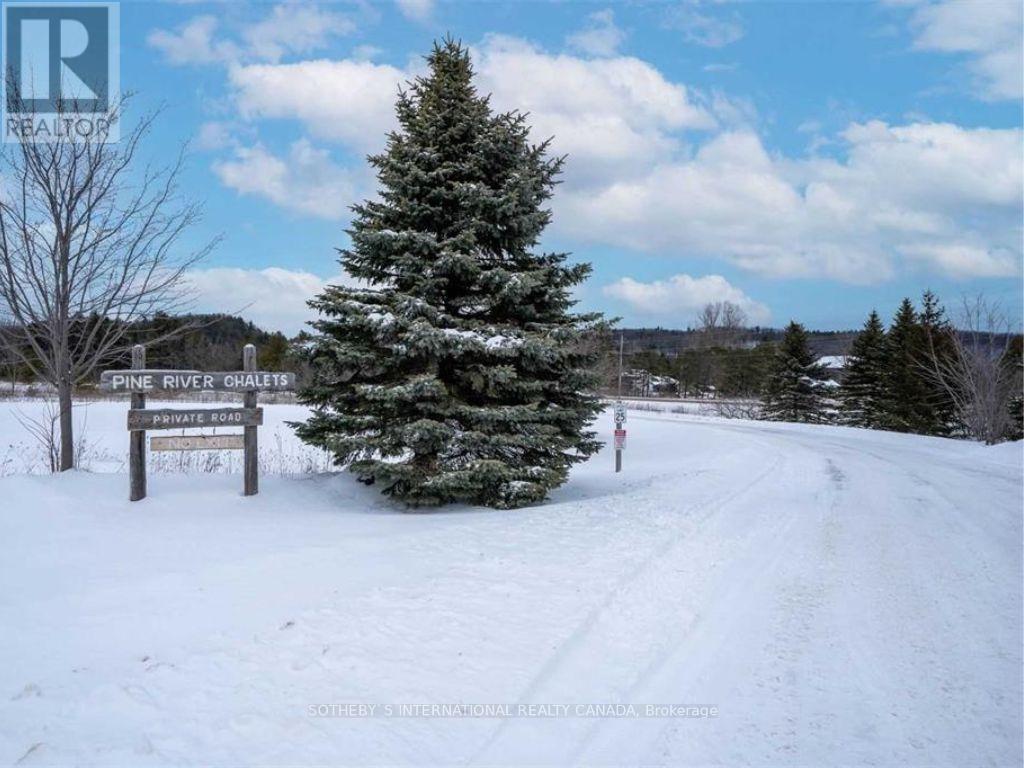 39 Pine River Crescent, Mulmur, Ontario  L0N 1M0 - Photo 4 - X12004452