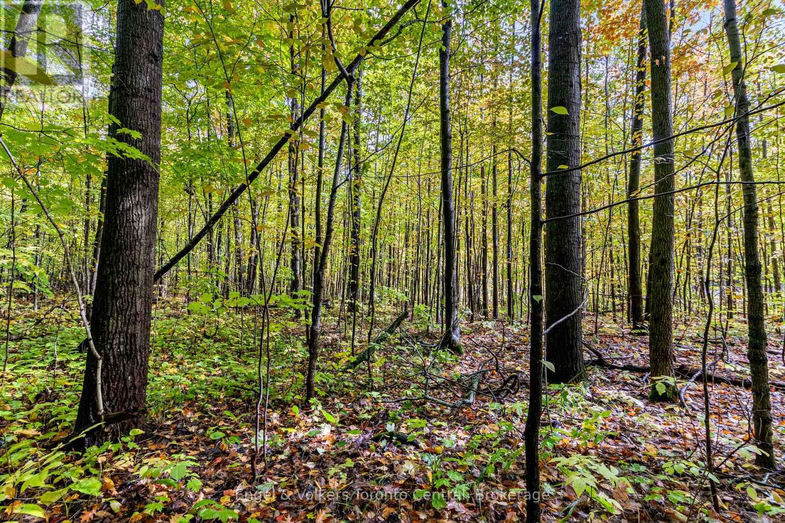 Lot 5 Voyageur Drive, Tiny, Ontario  L9M 1R2 - Photo 14 - S12004853